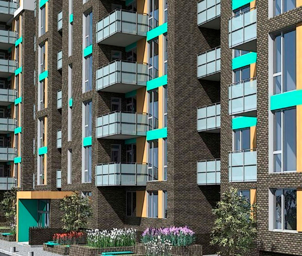 Forest Land ����