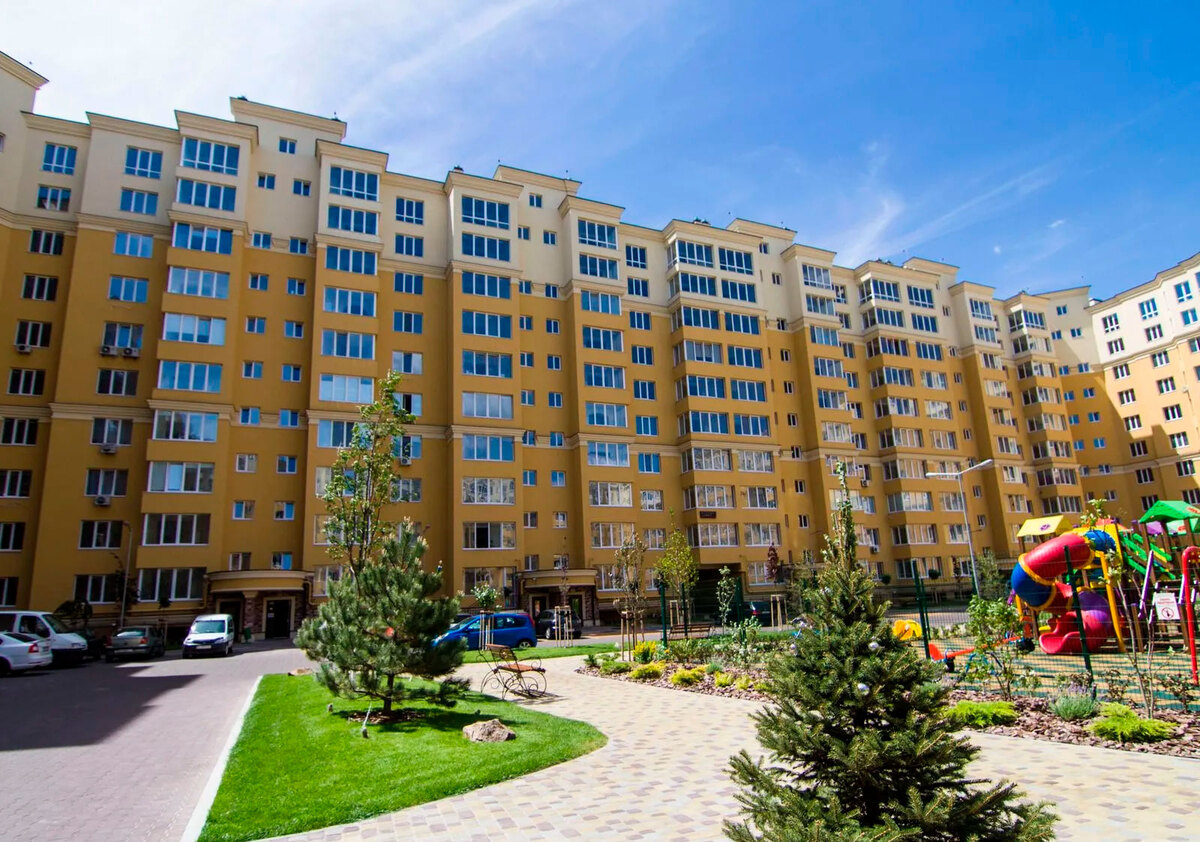 ����� ������� ����