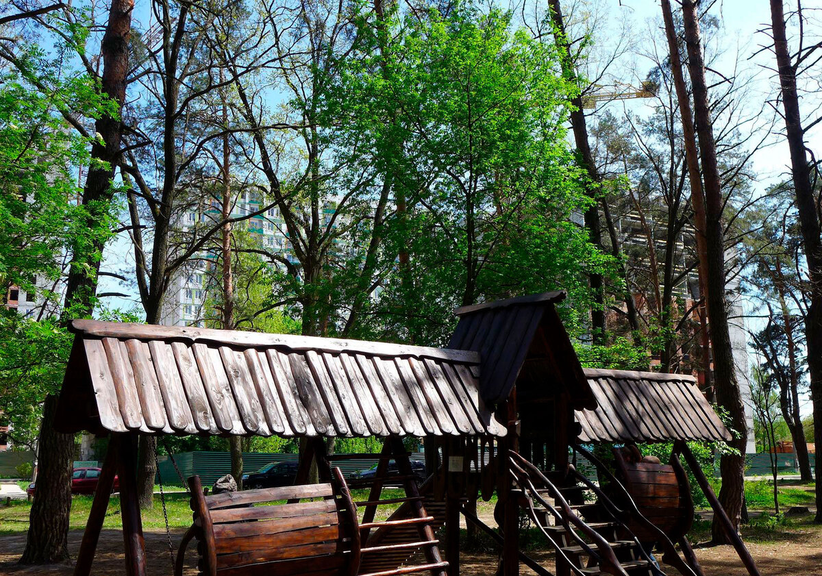 ��������� ����