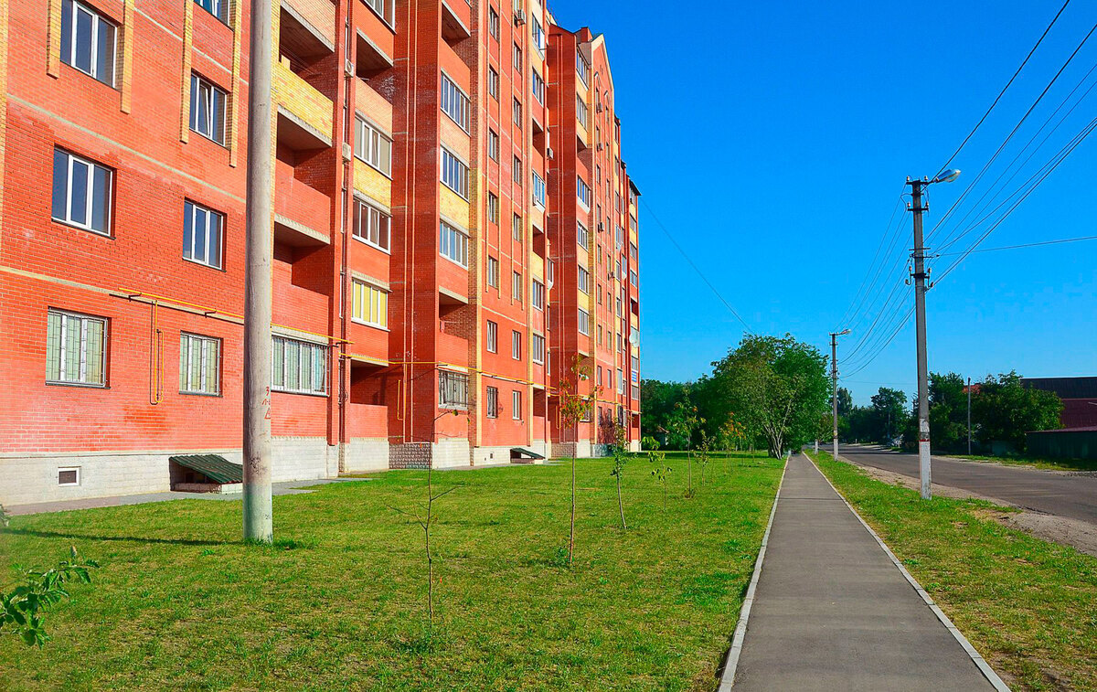 ������ ����