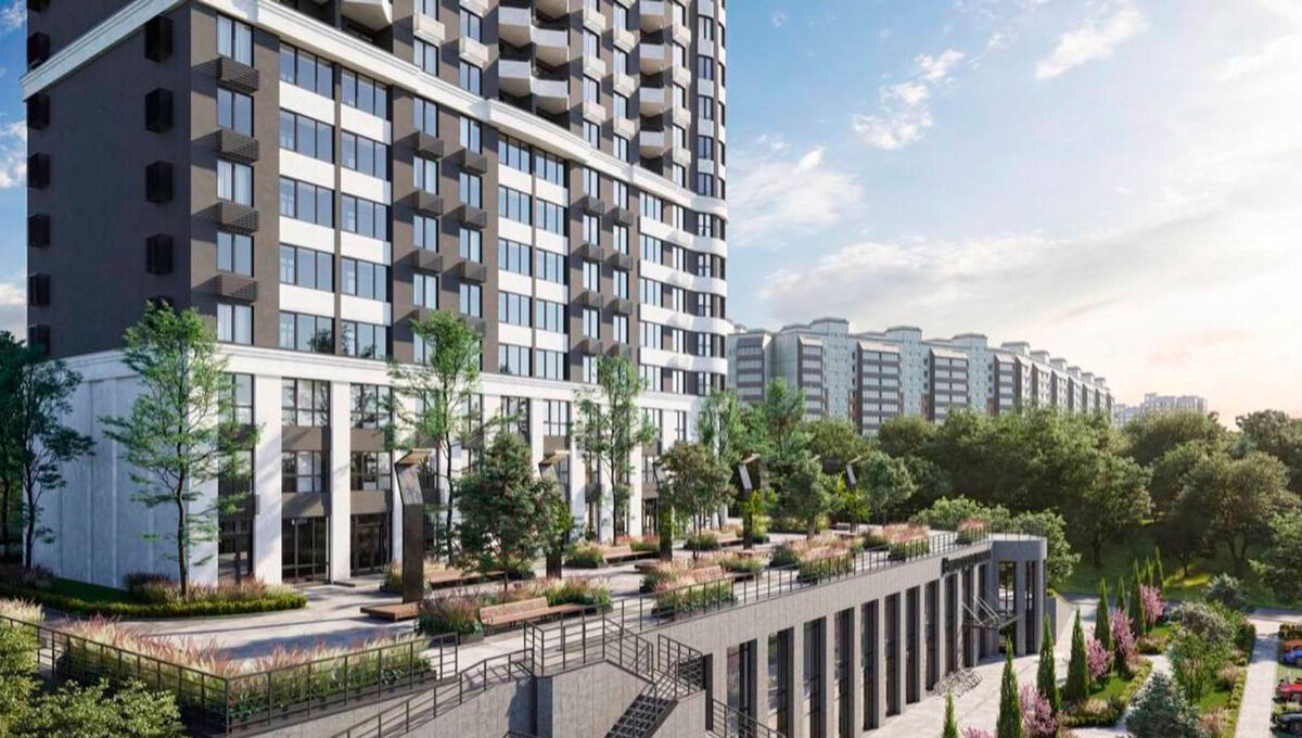 �������� ����� ����