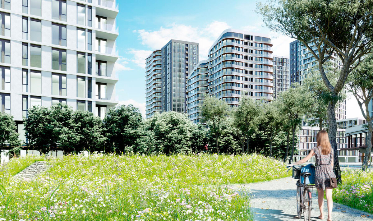 Creator City ����