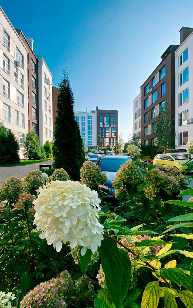 ����� �������.Center ����