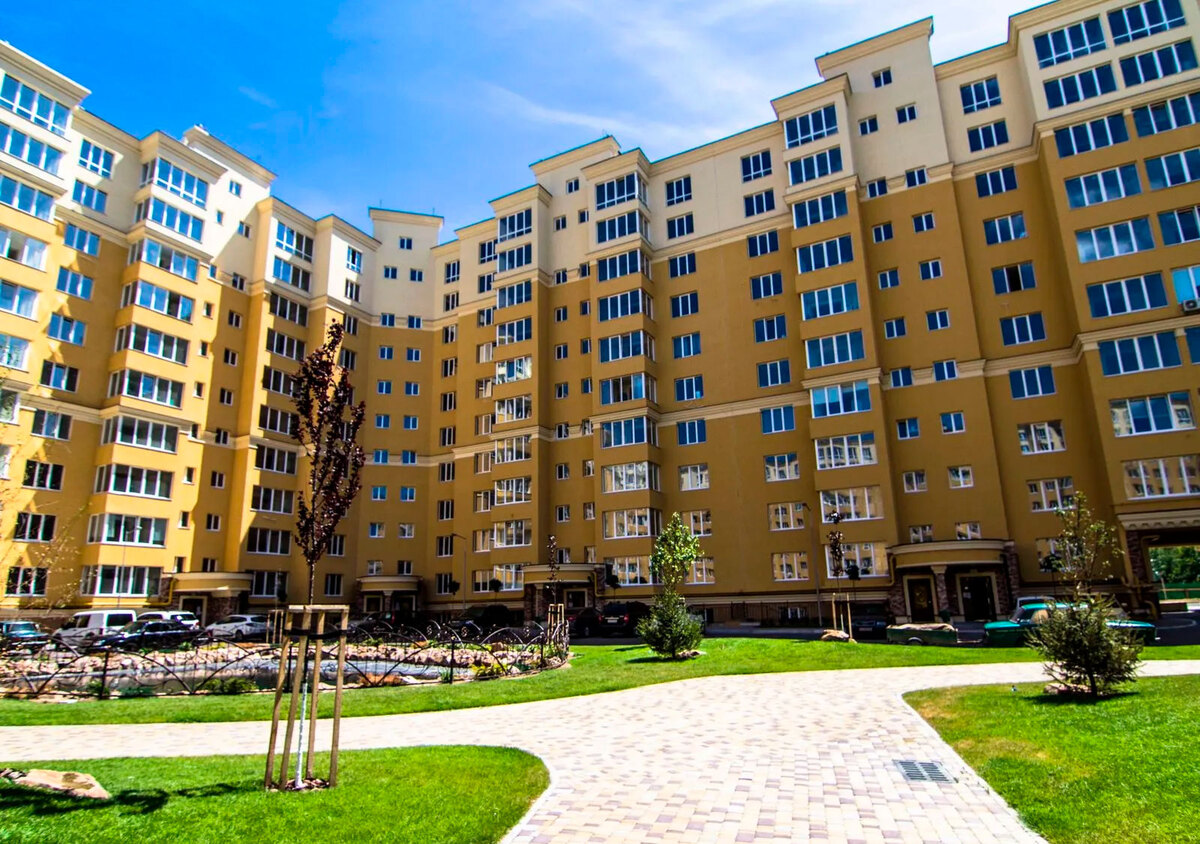 ����� ������� ����