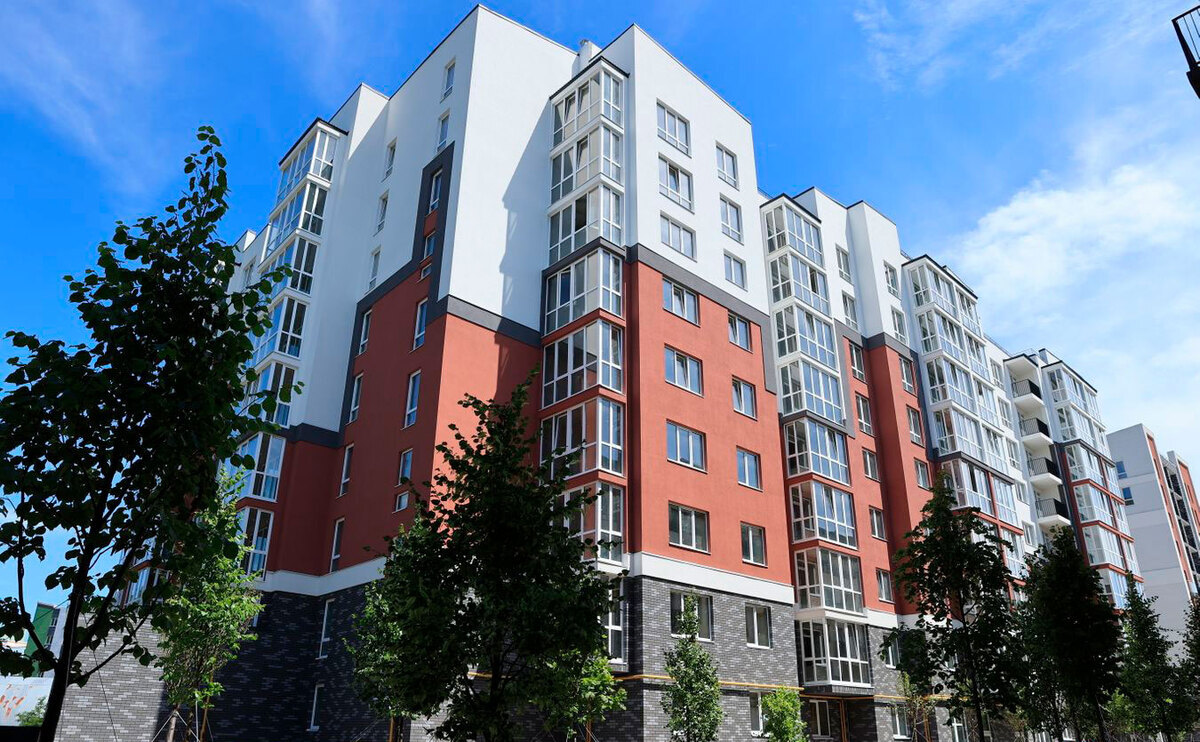 ���� ����