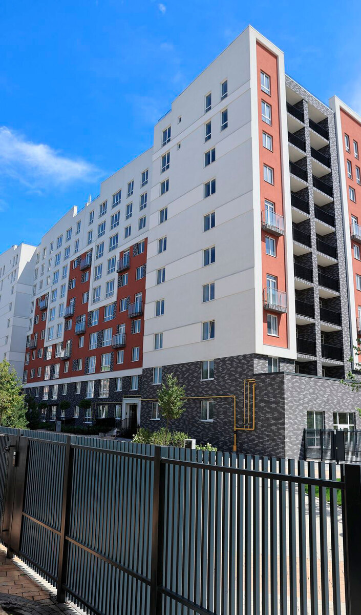 ���� ����