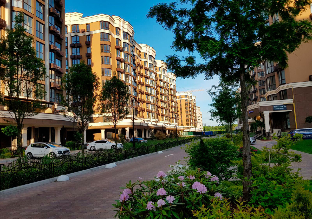 ����� ������� ����