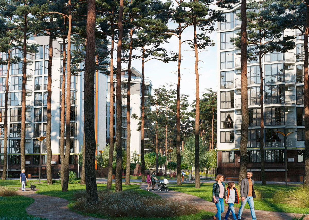 �� �������� ����