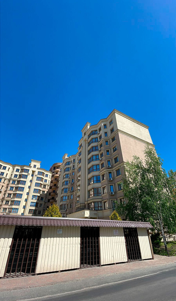 ����� ѳ� ����