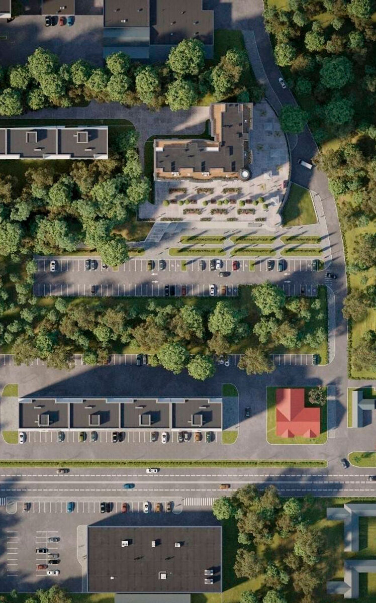 �������� ����� ����