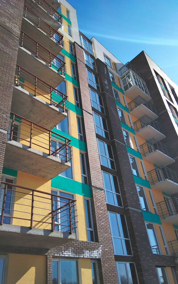 Forest Land ����