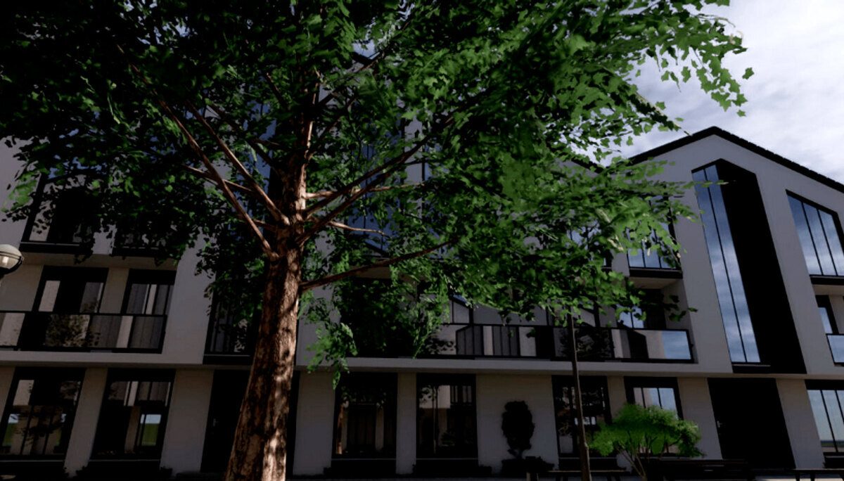 Barberry ����