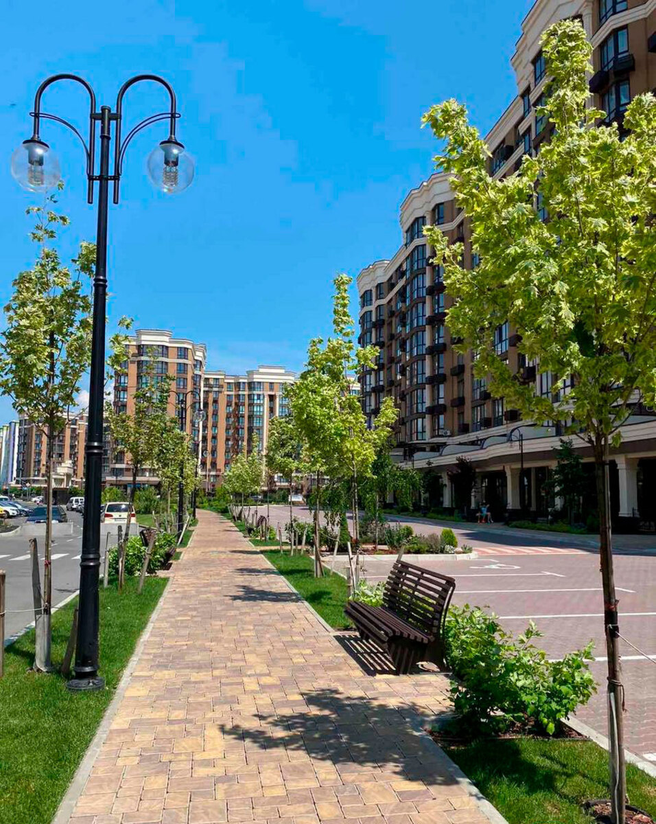 ����� ������� ����