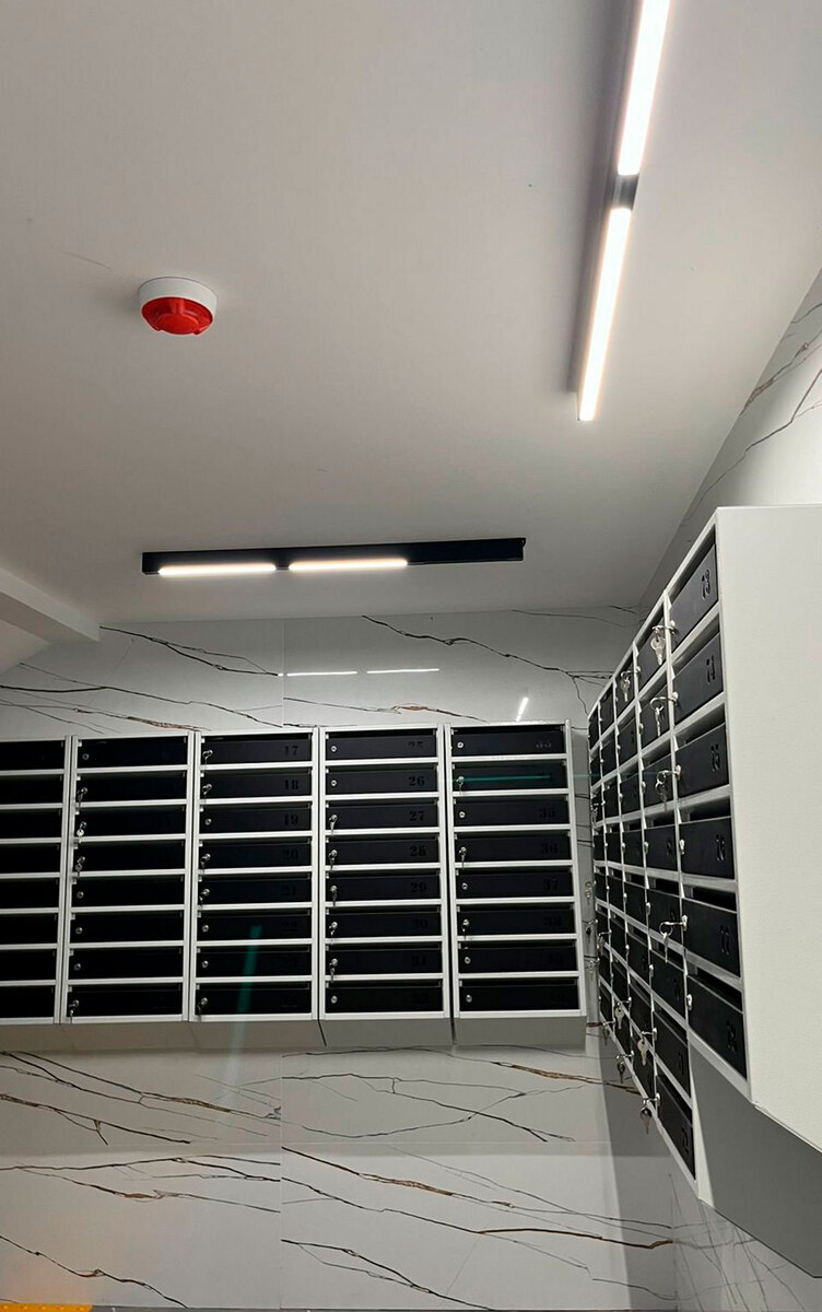 �������� ����