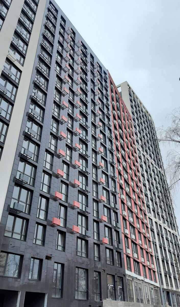 ����� ����