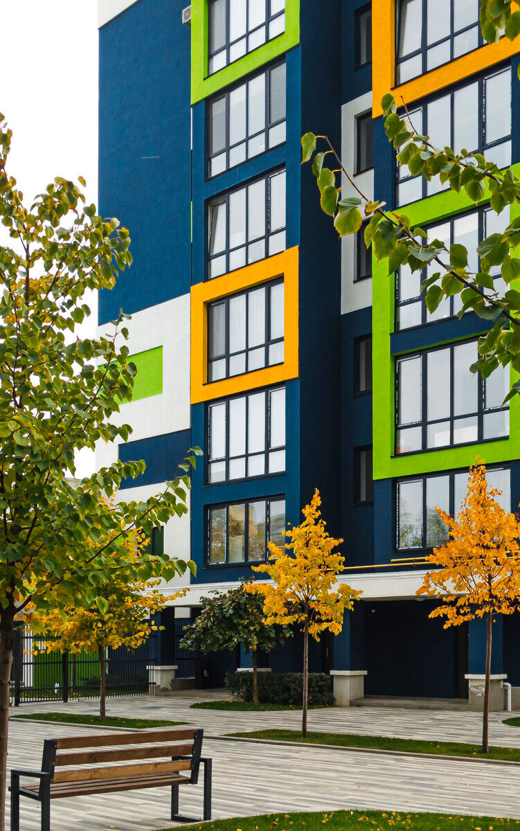 ������ ����