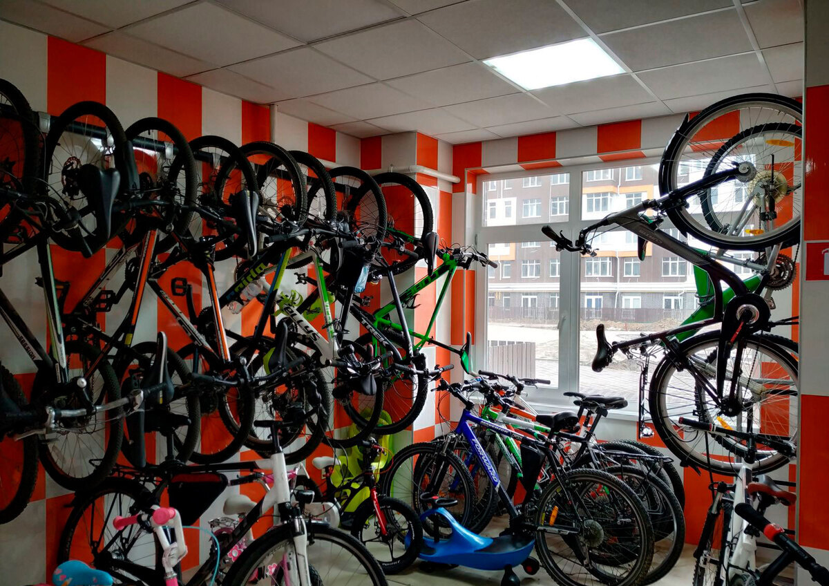 Orange Park ����