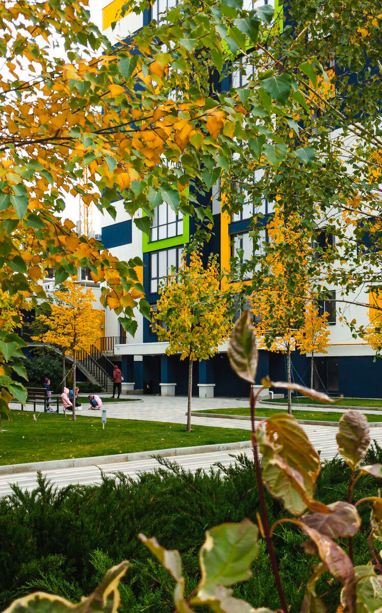 ������ ����