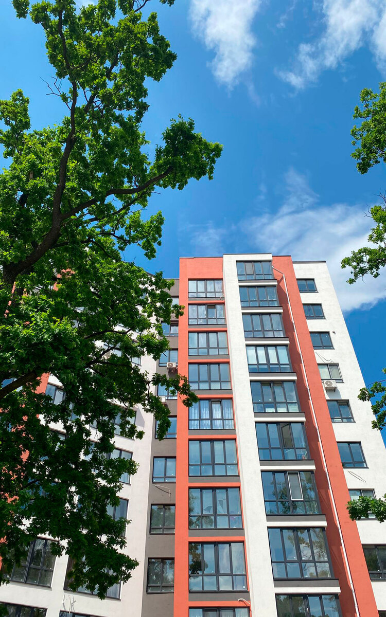 Green Life-3 ����