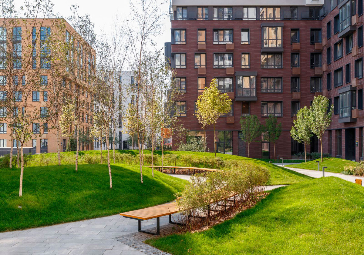 ����� ���� ����