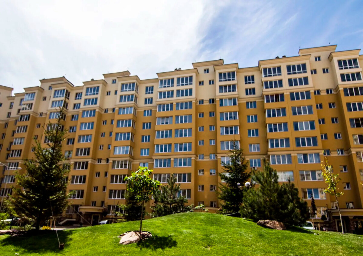 ����� ������� ����