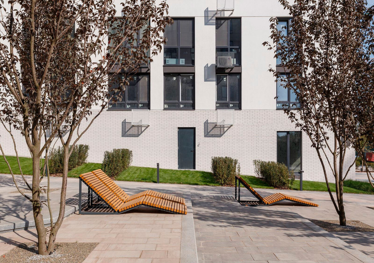 ����� ���� ����