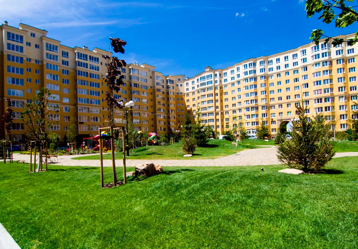 ����� ������� ����