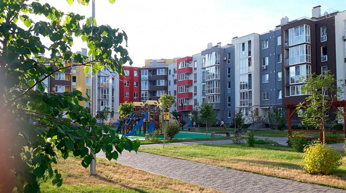 ���� ���� ����