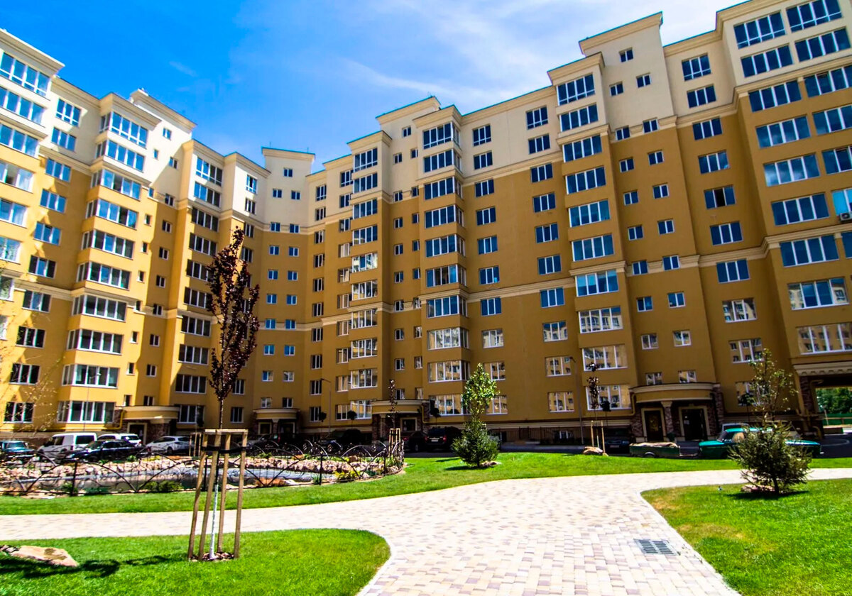 ����� ������� ����