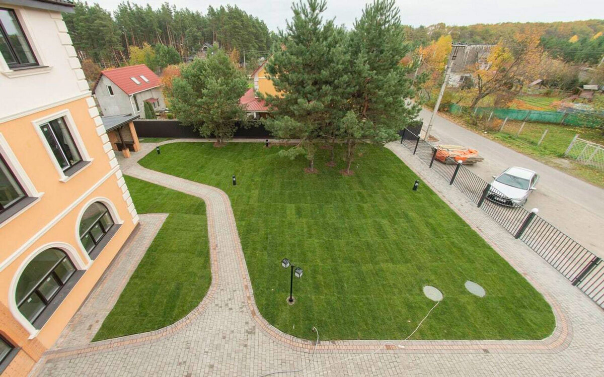 ������ ����