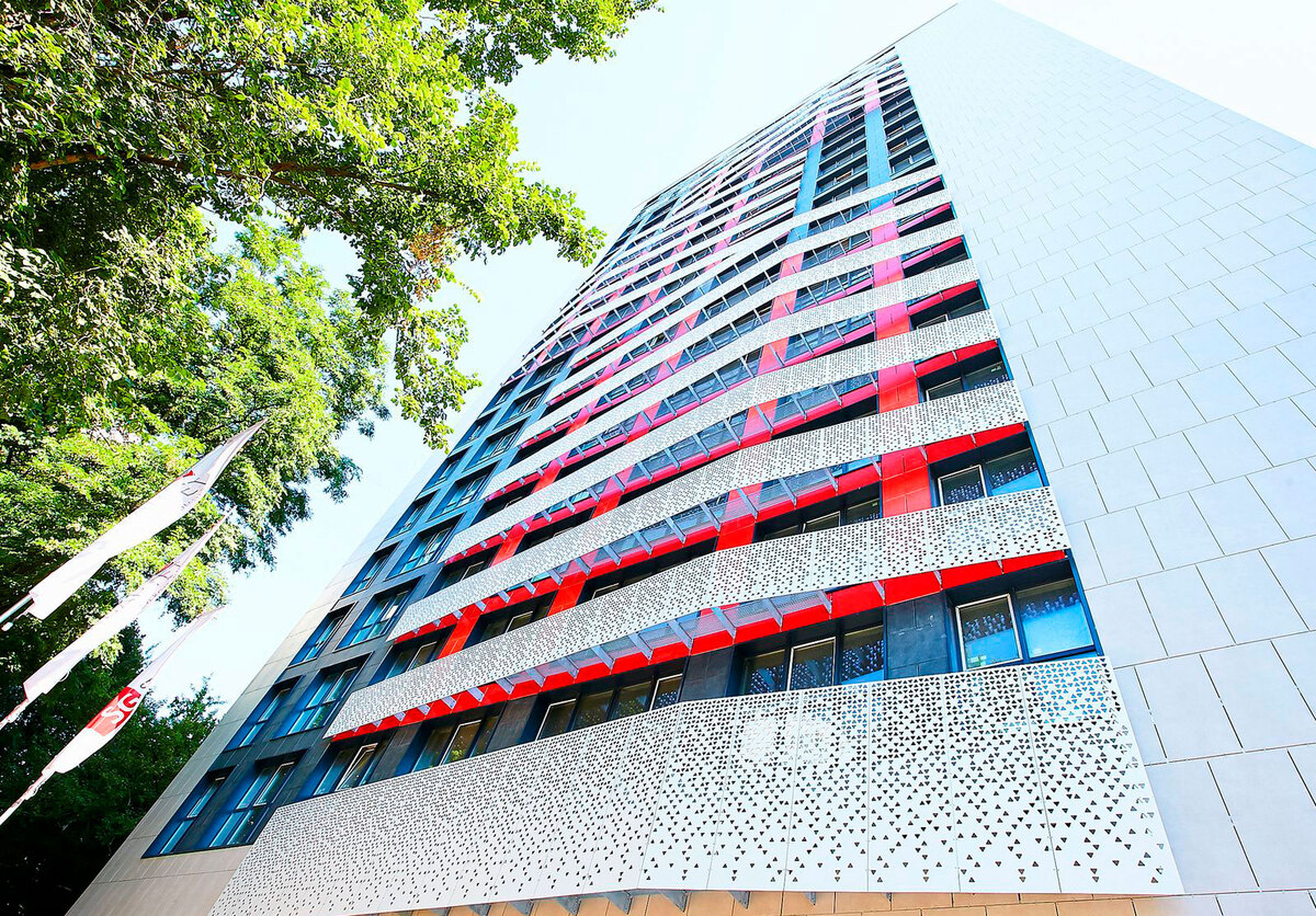 ������� ����