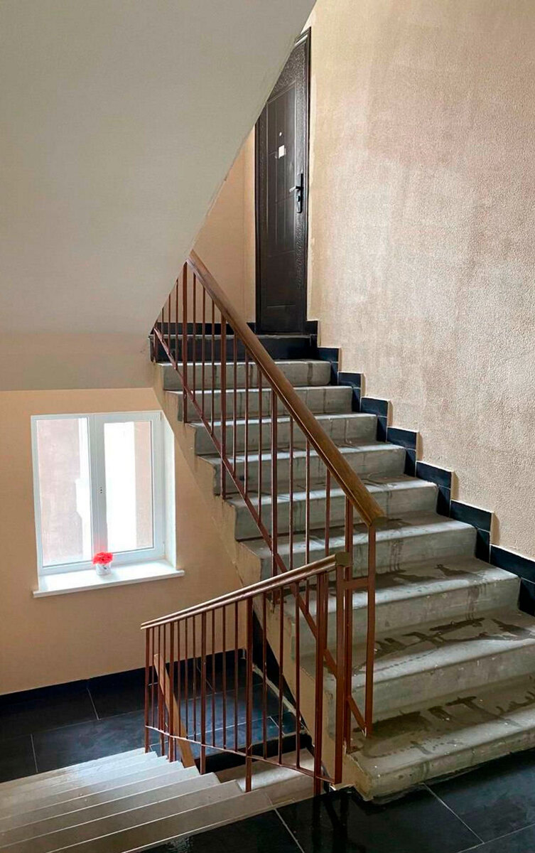 ���� �����-����� ����