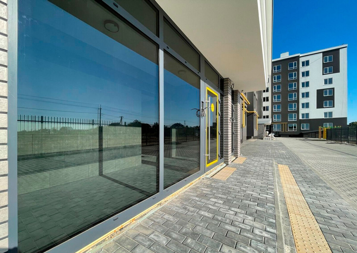 �������� ����� ����