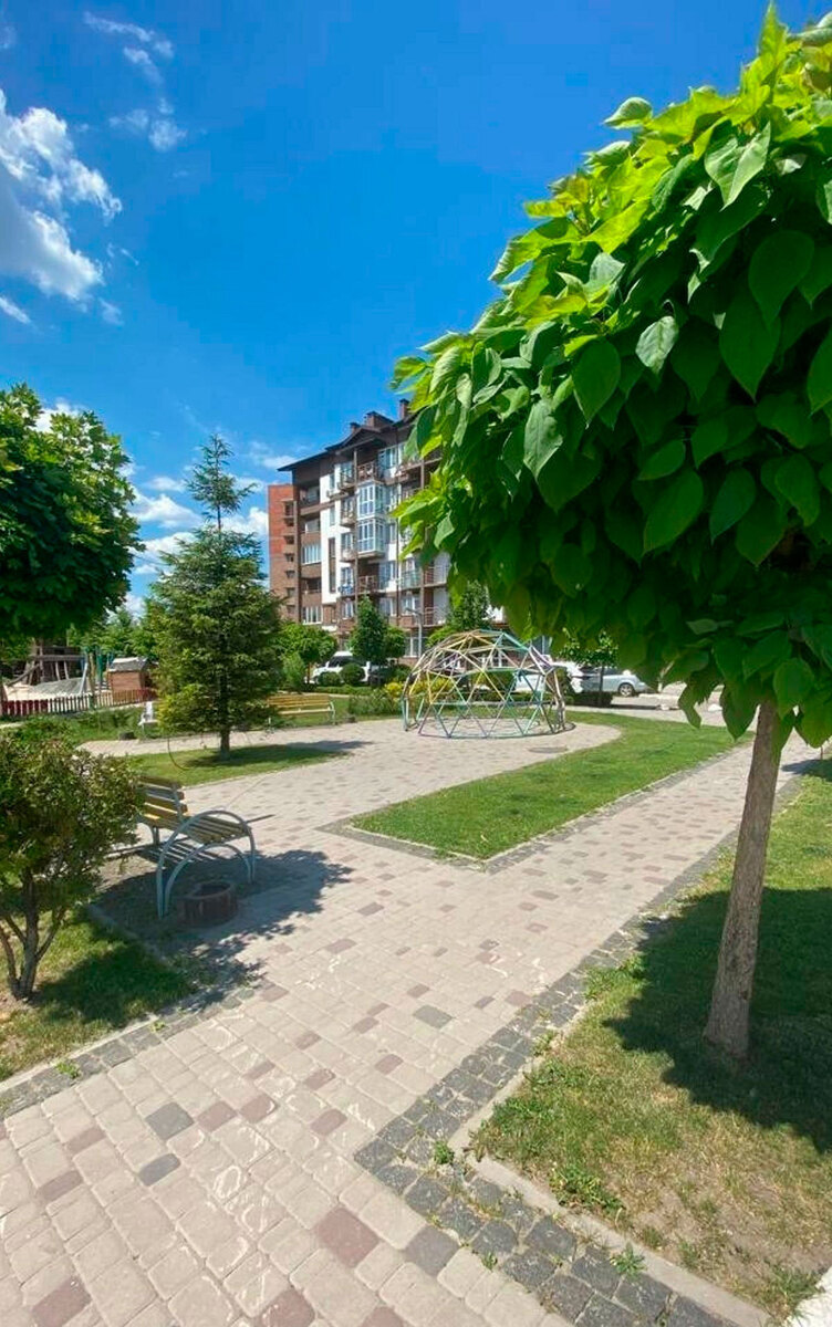 ���� �����-����� ����