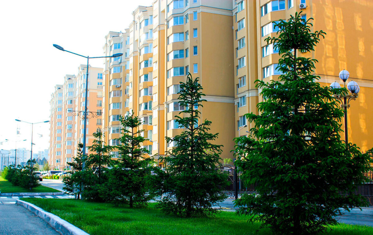 ����� ѳ� ����