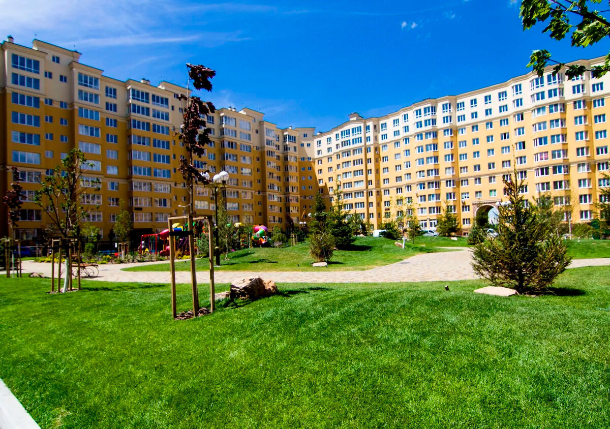 ����� ������� ����