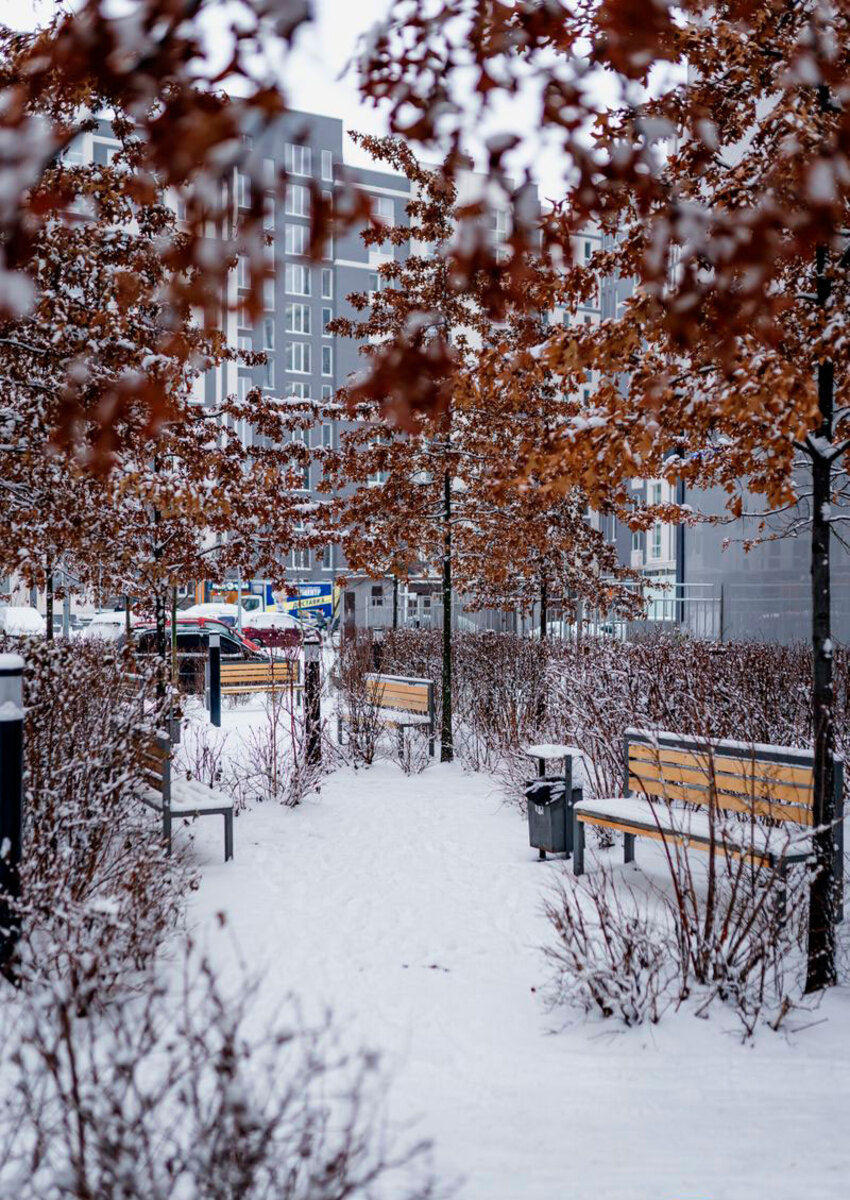 �������� ����