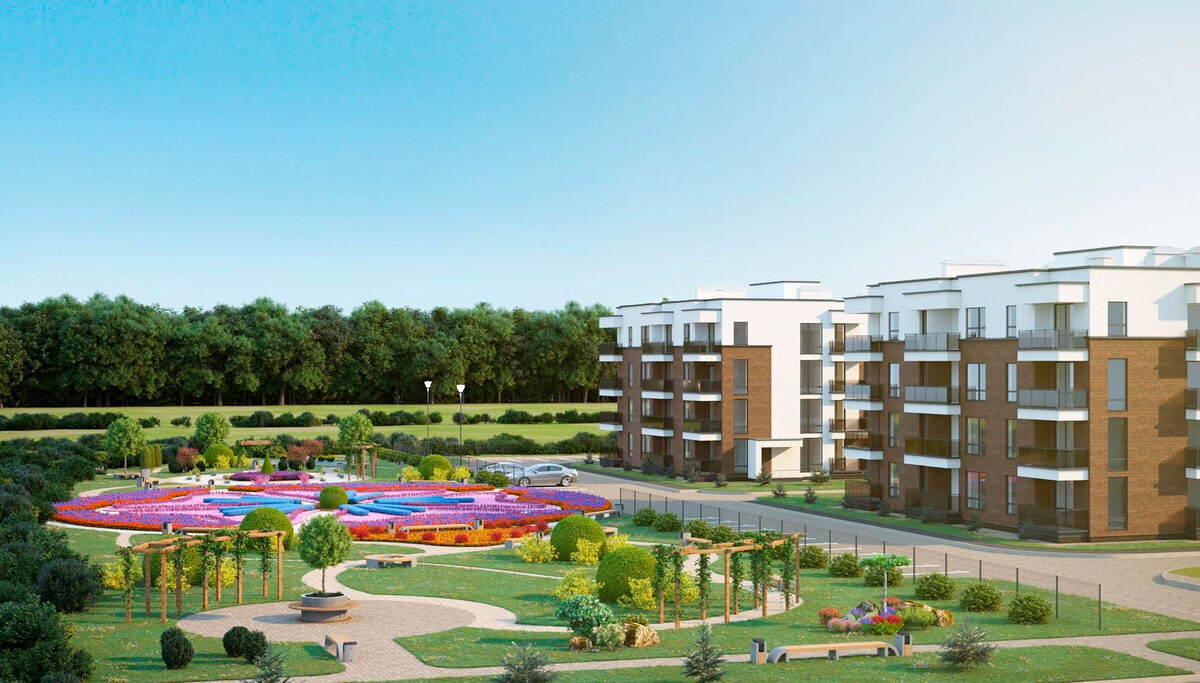 ���� ��� ����