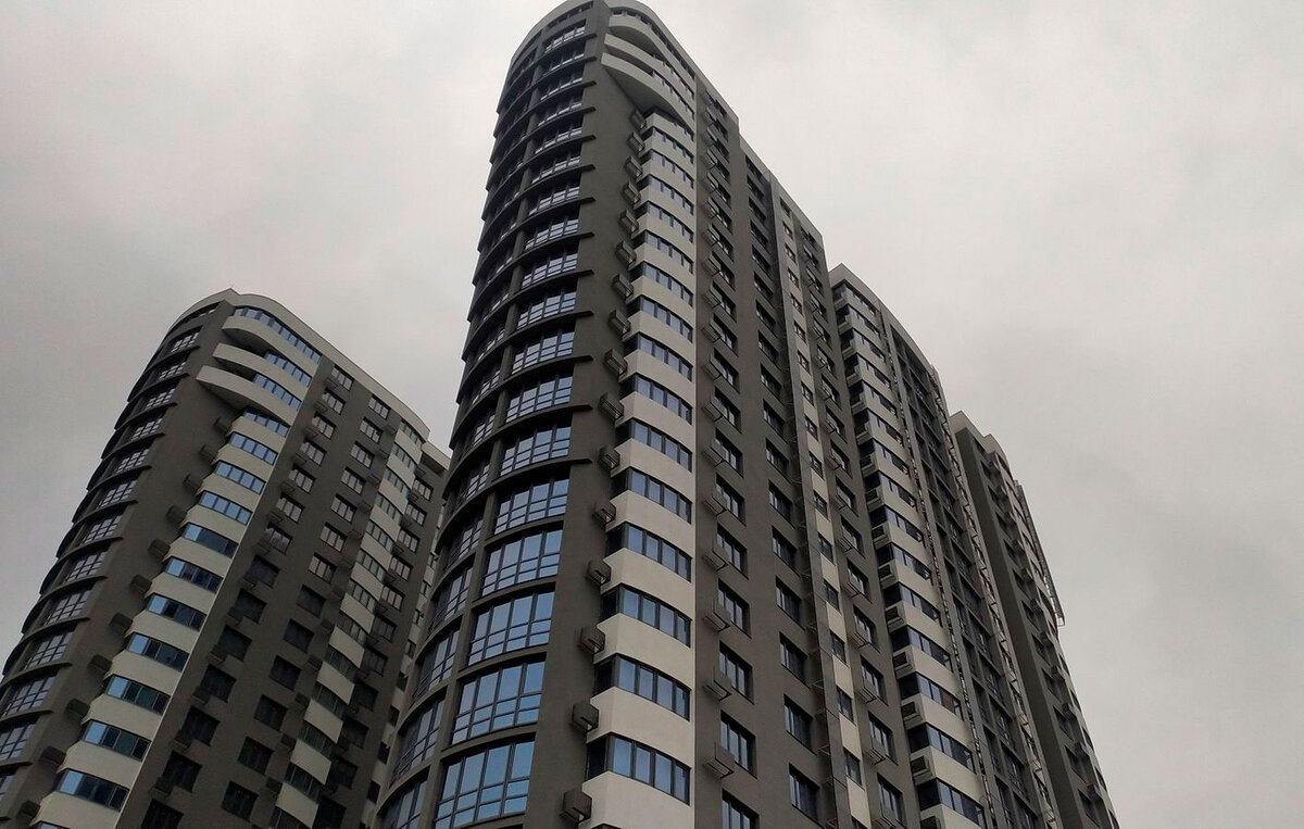 FREEDOM ����