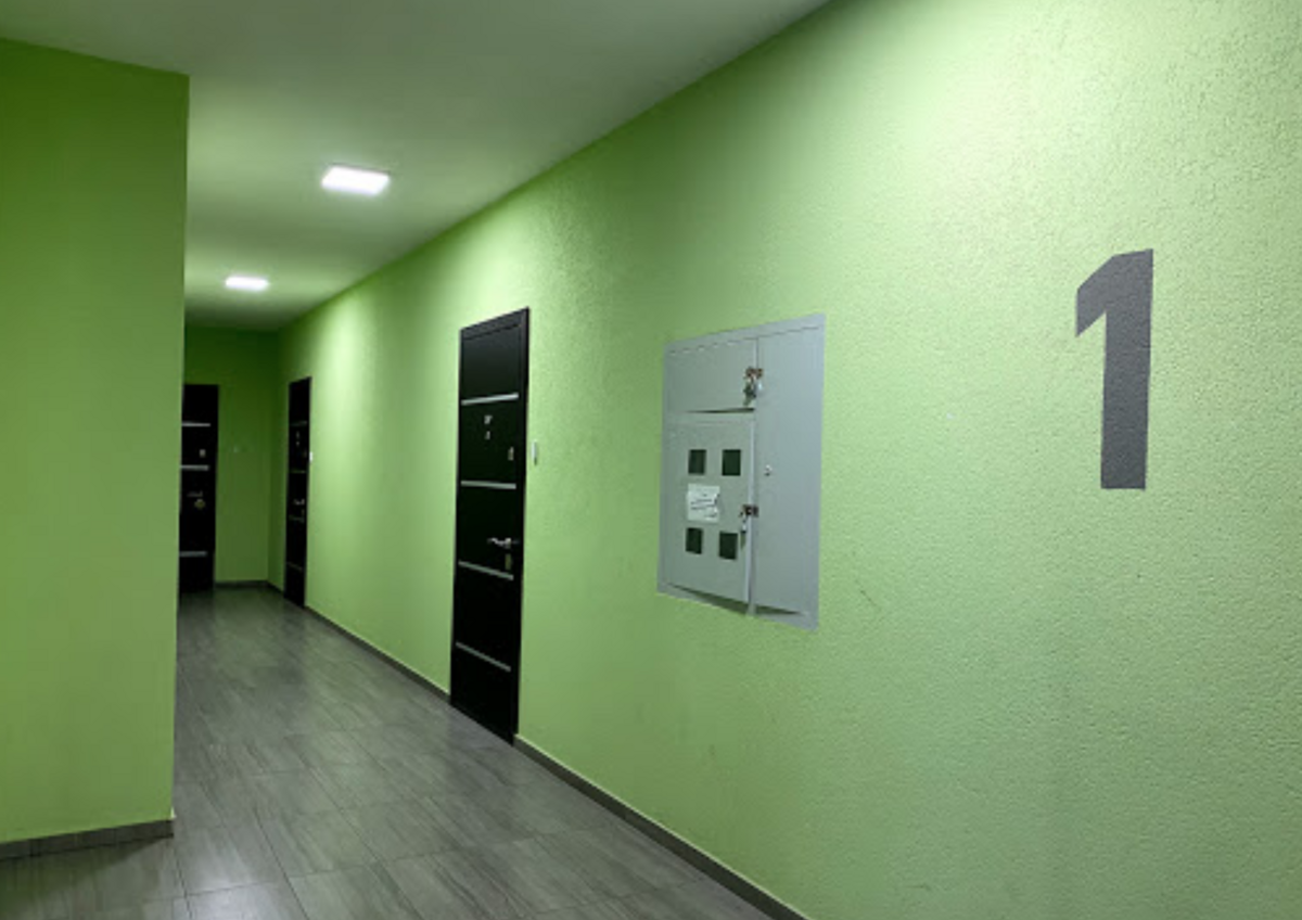 �������� ����