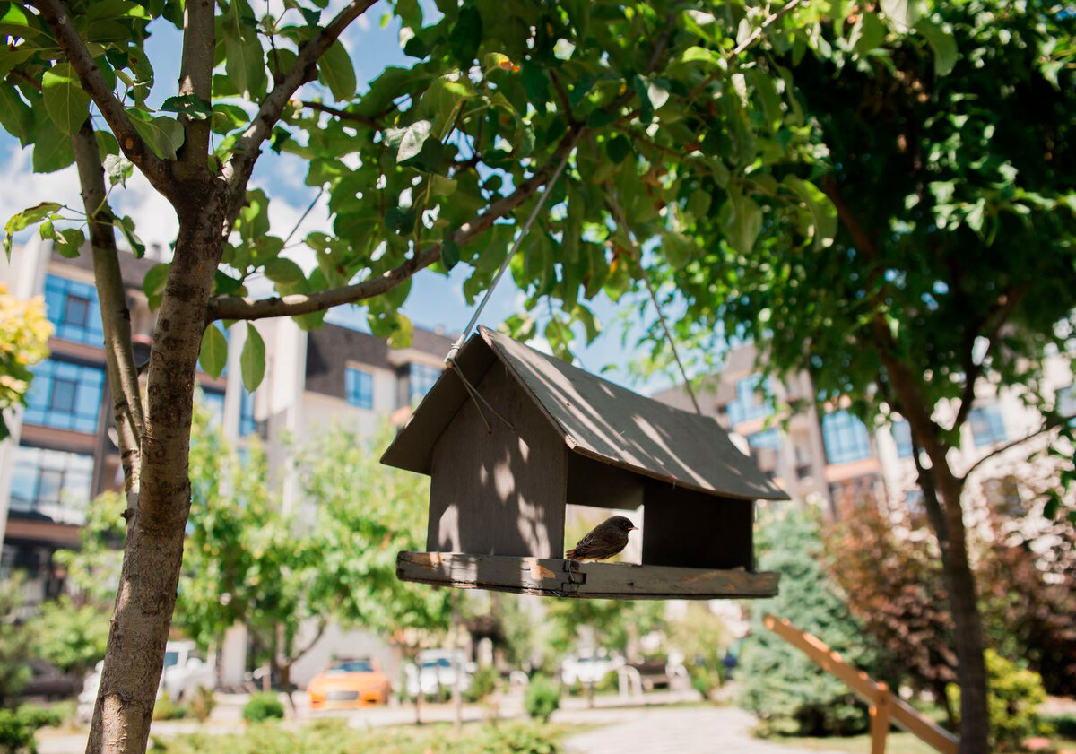 �-������� ����