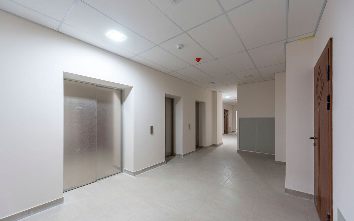 ������� �������� ����