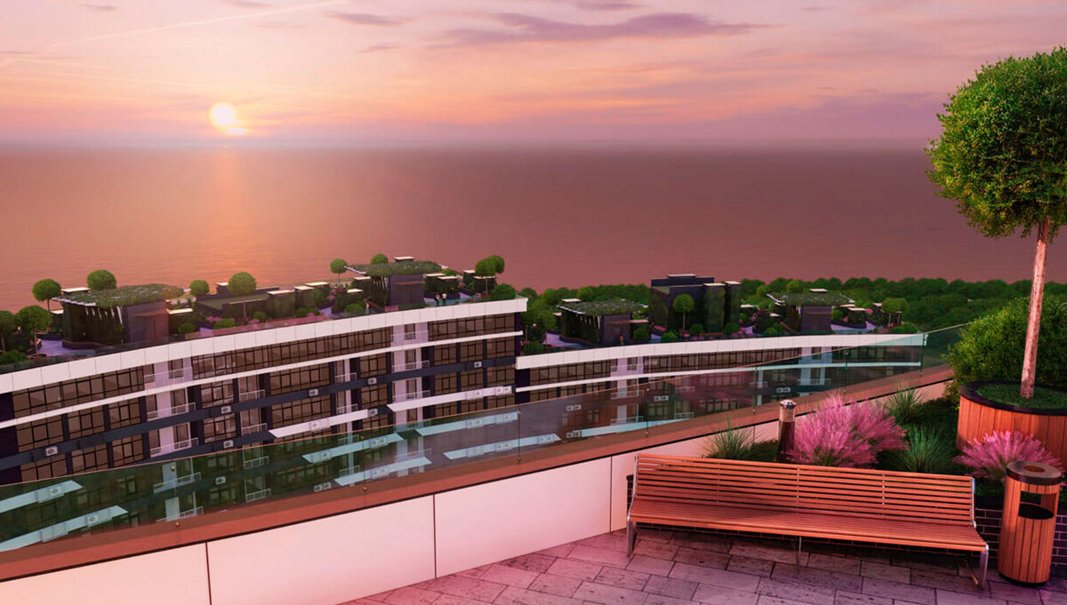 ��������� ����