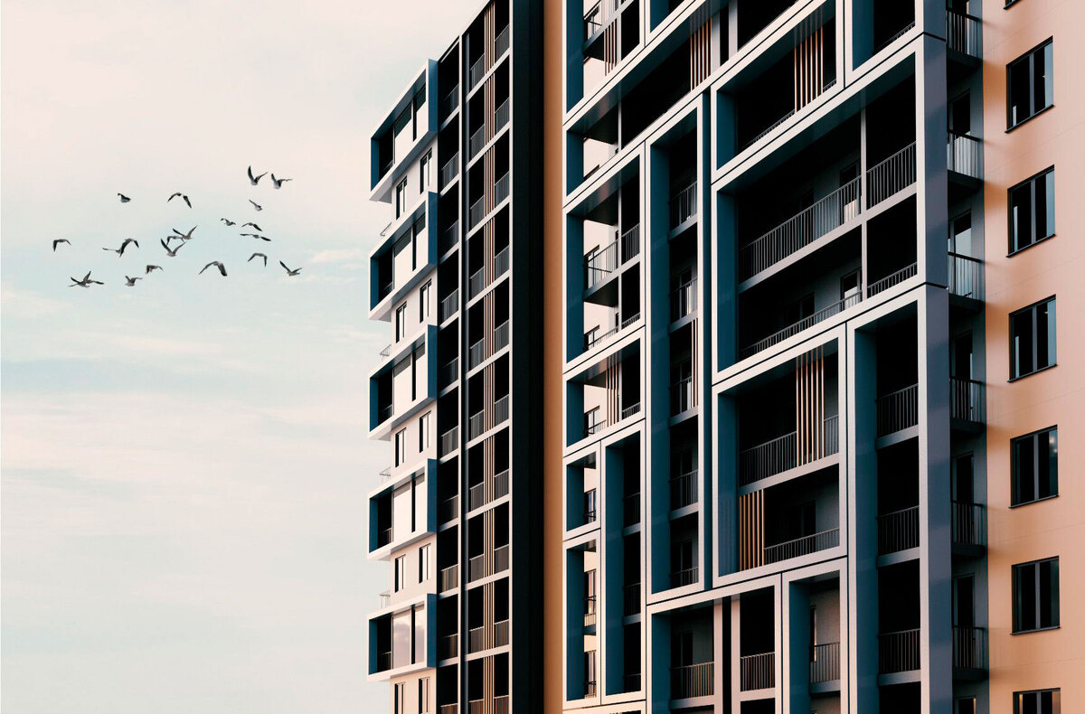 ʳ����� ����