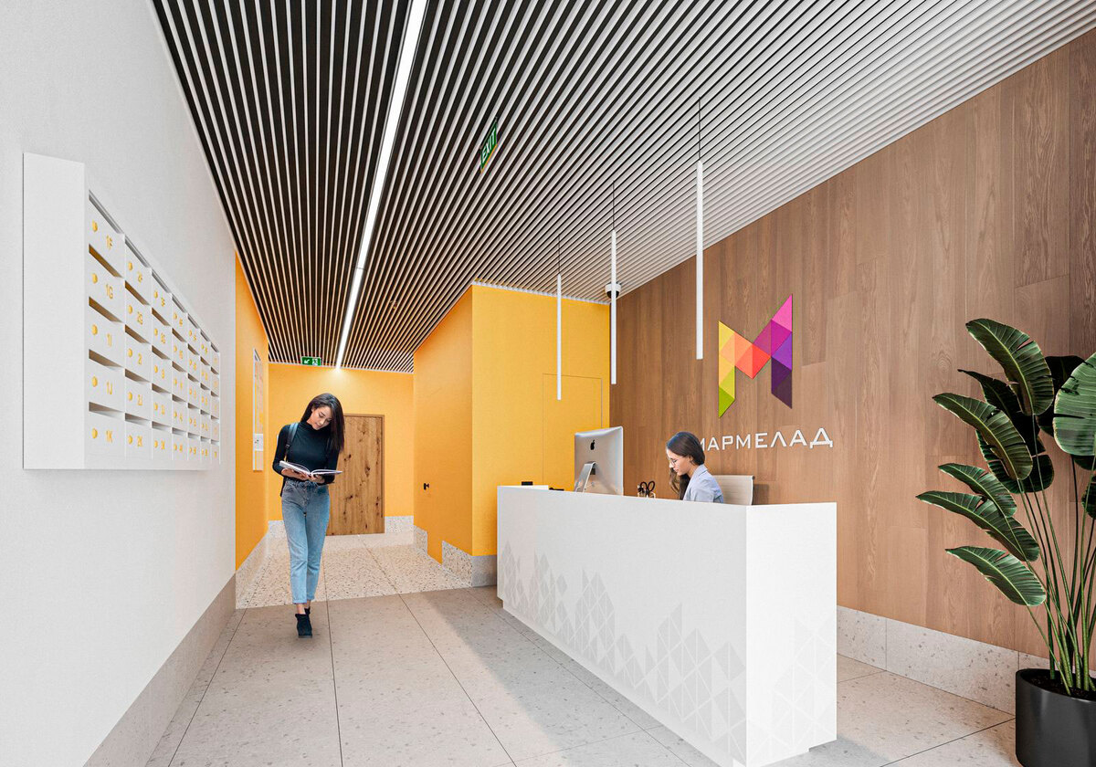 �������� ����