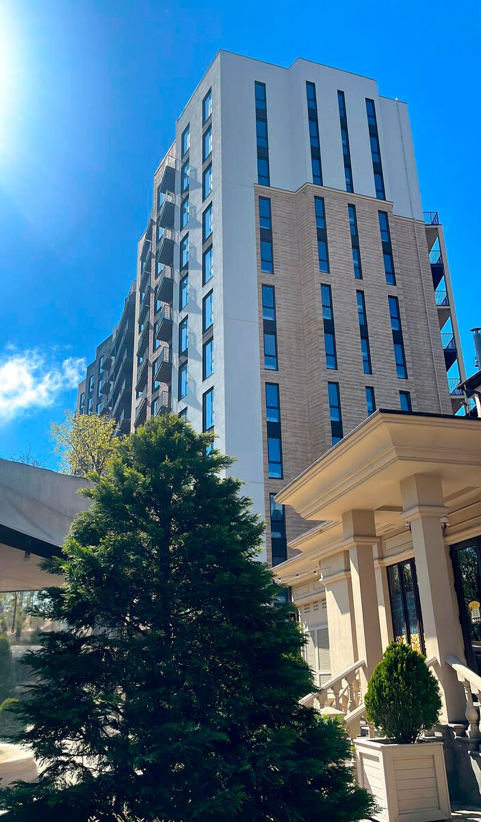 ����� ����