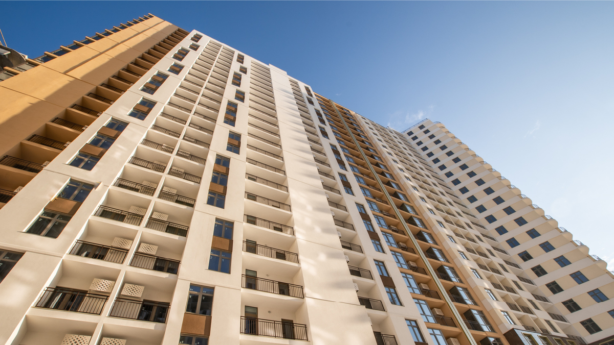 61 ������� ����