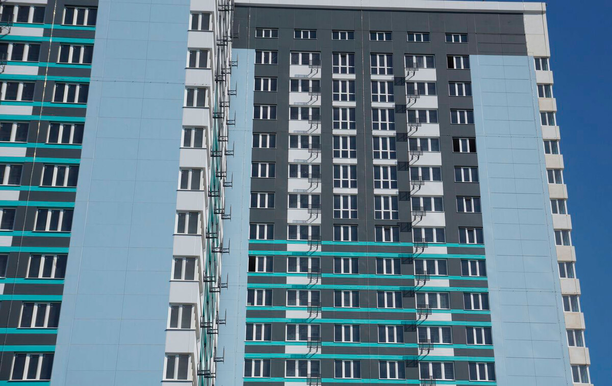 ���� ѳ� ����