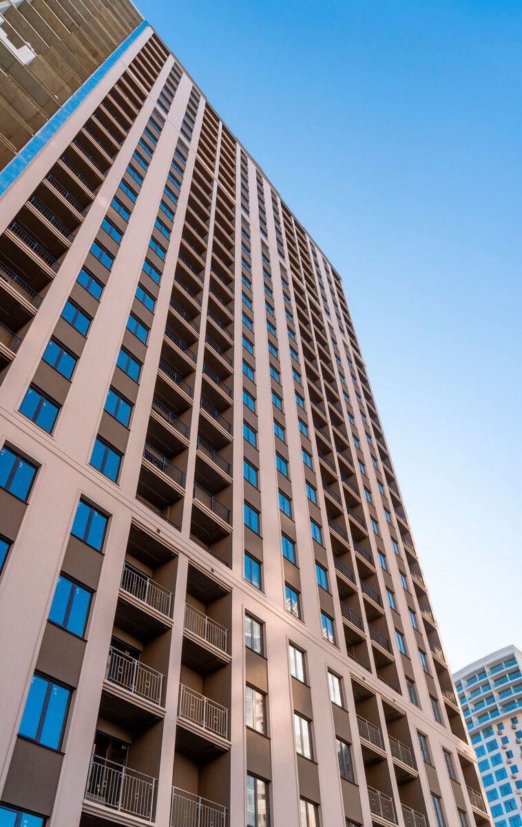 ������ ����