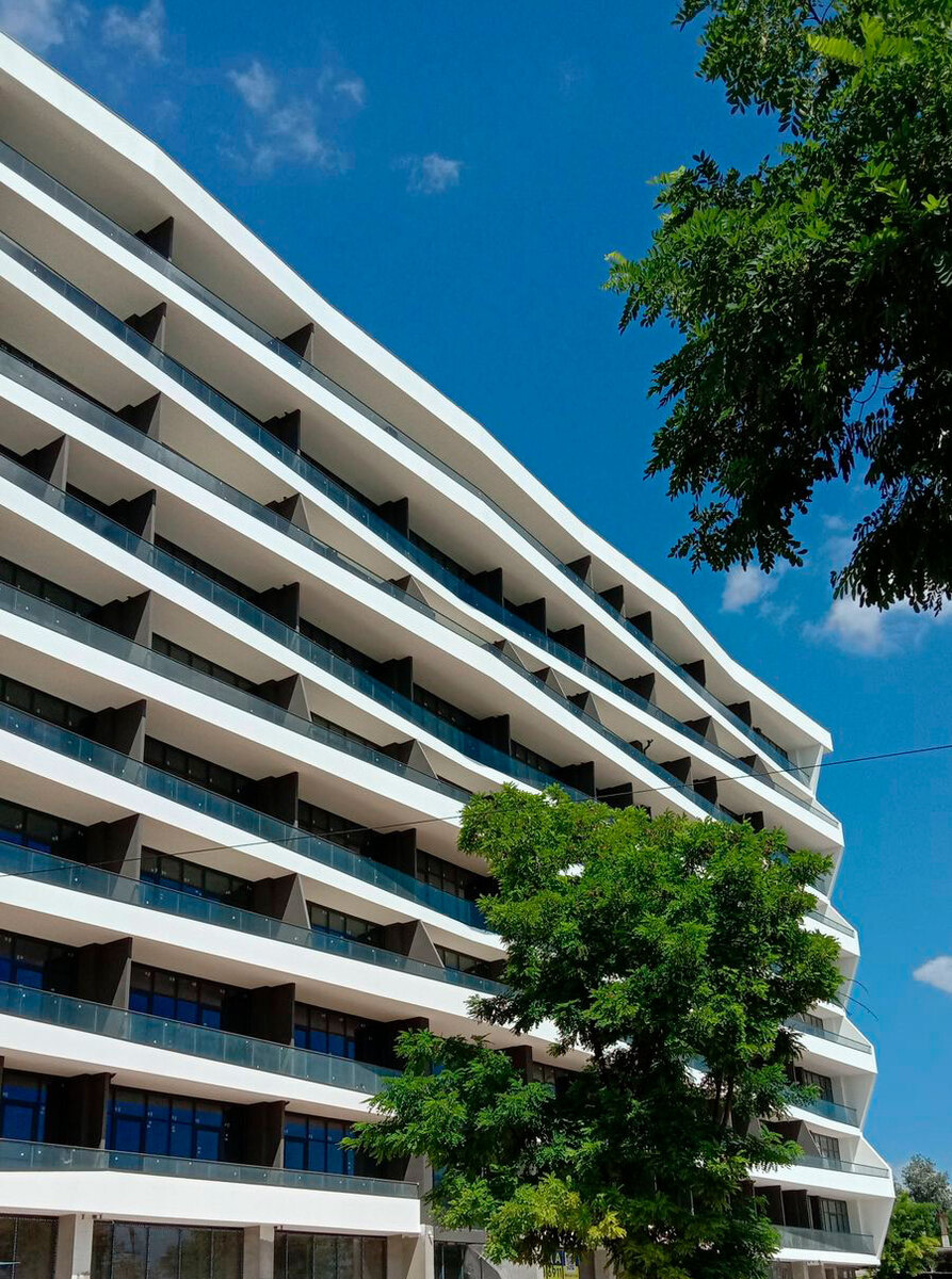 ������ ����